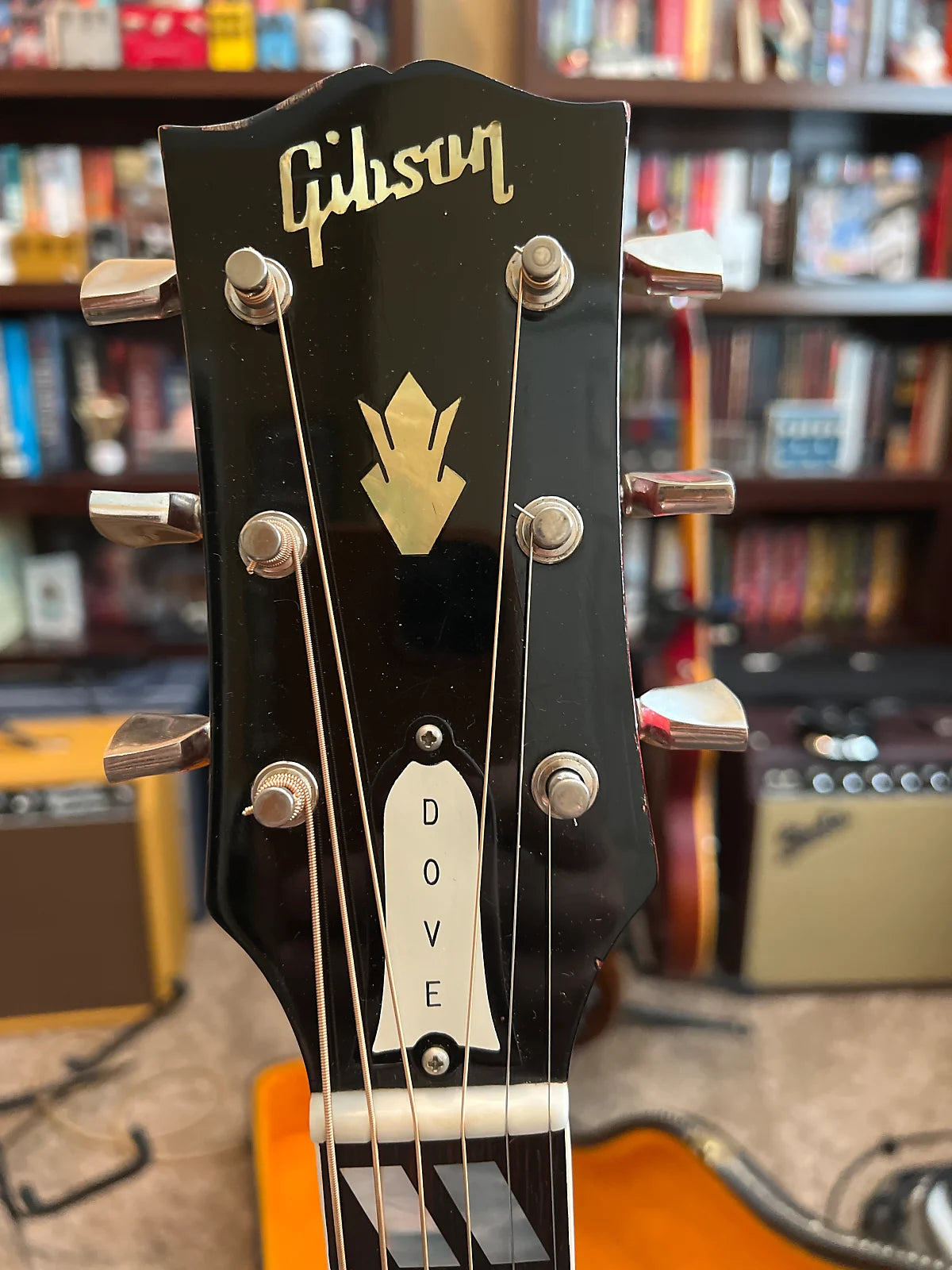 1964 Gibson Dove